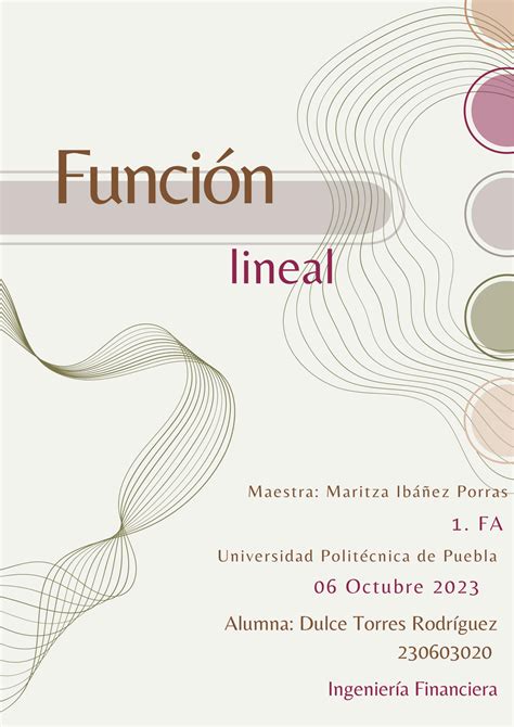 SOLUTION Funcion Lineal Studypool