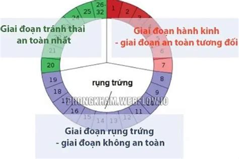 4 cách tính ngày rụng trứng cực chuẩn để quan hệ mang thai tránh thai