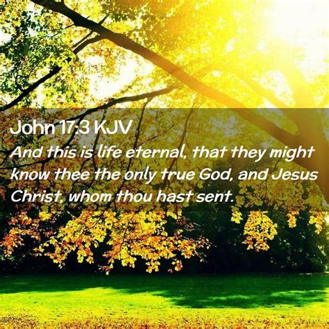 John 173 Kjv Bible Verse Images