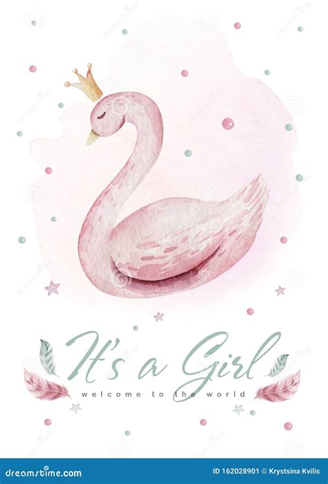 Baby Shower Kid Swan Watercolor Girl Design Cartoon Elements Set Of