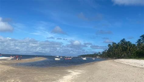 Praia Dos Carneiros Em Pernambuco Guia Completo