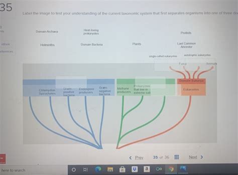 Solved Label The Terms Or Descriptions In The Chart To Chegg