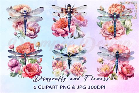 Watercolor Dragonfly on Flower Clipart Graphic by Drumpee Design ...