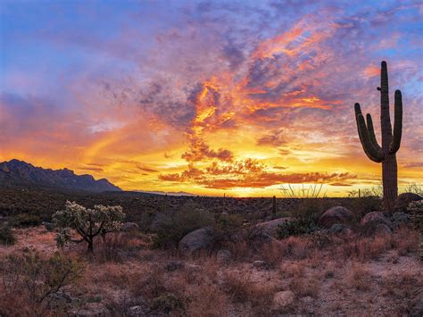 Stunning Sunrises And Striking Sunsets In Mesa Artofit