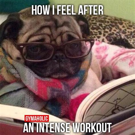 How I Feel After Gymaholic Fitness App Gym Memes Funny Funny Gym