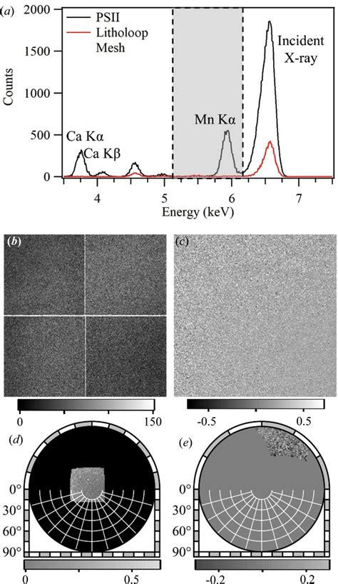 IUCr Development Of Serial X Ray Fluorescence Holography For