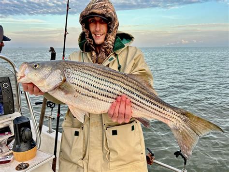 Santee Striper Fishing Report Mid February Carolina Sportsman