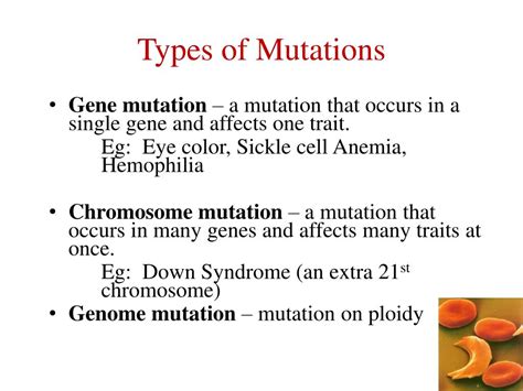 Ppt Mutations Powerpoint Presentation Free Download Id1466319