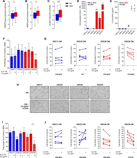 Il Is Upregulated In Mes Gscs And Mediates In Vitro Angiogenesis