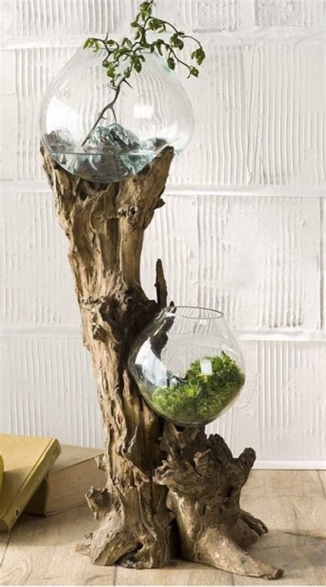 Driftwood And Glass Bowls Terrarium Planter Indoor Water Garden