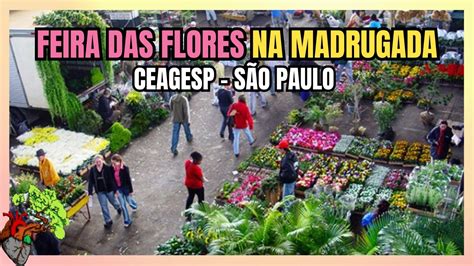 Conhecendo A Feira De Flores Da Ceagesp Em S O Paulo Ceasa Youtube