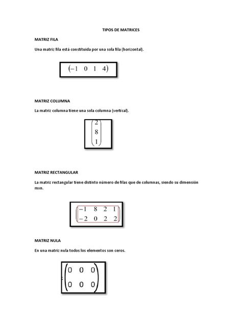 Tipos De Matrices Pdf Matriz Matemáticas Funciones Y Mapeos