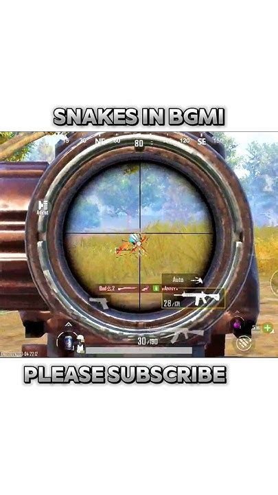 Snakes 🐍 In Bgmi Bgmi Shorts Funny Camping Pubgm Highlights Youtube