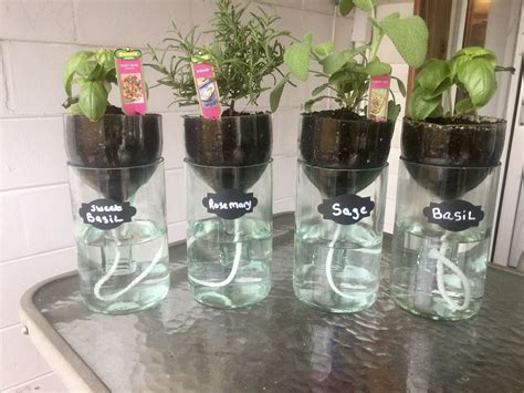 Self Watering Herb Planters From Recycled Wine Bottles