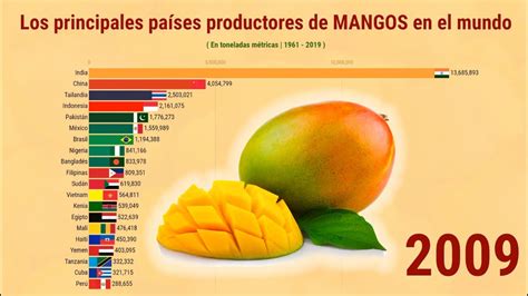 Los principales países productores de MANGOS en el mundo YouTube