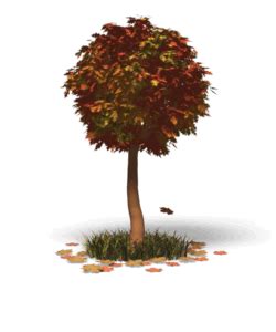 Fall Tree Leaves | 3D Animated Clipart for PowerPoint - PresenterMedia.com