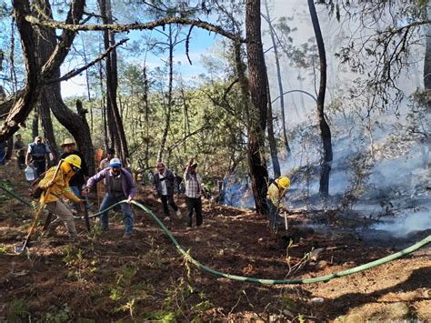 Hay Ocho Incendios Forestales Activos En El Estado De Oaxaca Coesfo