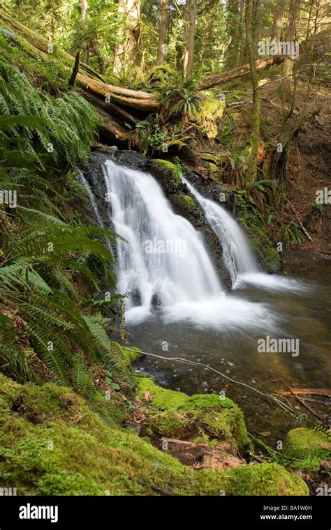 Waterfall - Moran State Park - Orcas Island, Washington USA Stock Photo ...