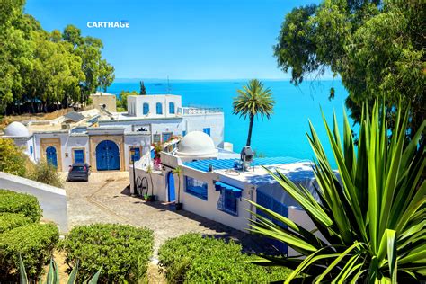 The Ultimate Sidi Bou Said, Tunisia, Travel Guide for First-Timers