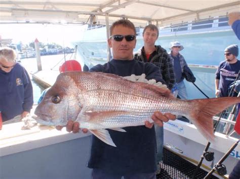 Seasonal Fishing Guide Gold Coast Gold Coast Fishing Charters