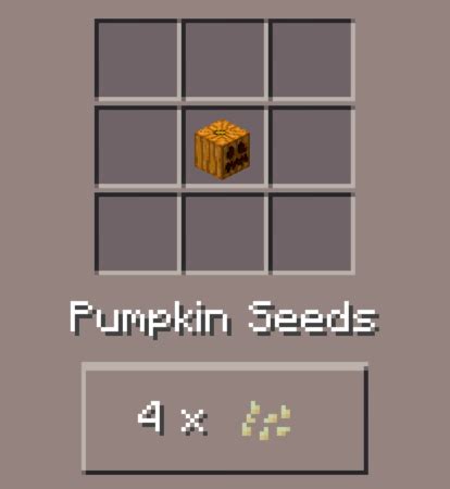 Pumpkin Seeds: Minecraft Pocket Edition: CanTeach