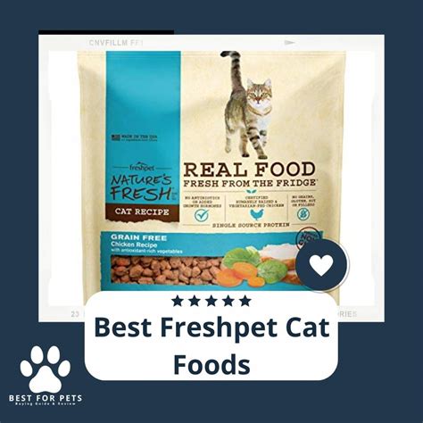 3 Best Freshpet Cat Foods In 2022