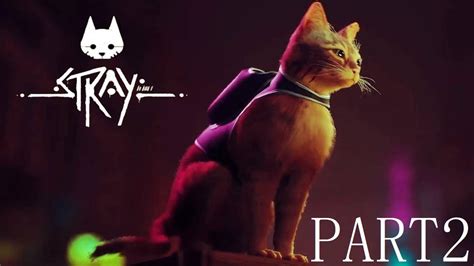 Stray Gameplay Walkthrough On Ps5 Commented Youtube