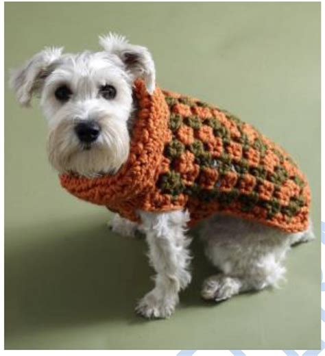 PDF Crochet Pattern Dog Coat Winter Crochet Pattern Thick and Quick ...