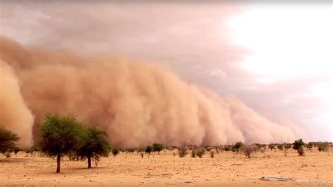 Sim N O Lluvia De Sangre El Venenoso Viento Que Cubre Al Sahara