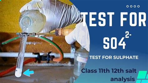 Test For Sulphate So42 Anion Salt Analysis For 11th And 12th