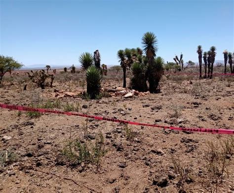 La Jornada Hallan cinco cadáveres en Zacatecas dos de ellos en fosa