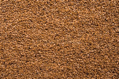 Linseed seeds stock image. Image of grain, diet, close - 167592325