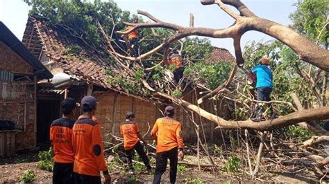 Angin Kencang Menerjang 5 Kecamatan Di Kabupaten Ngawi TribunNews