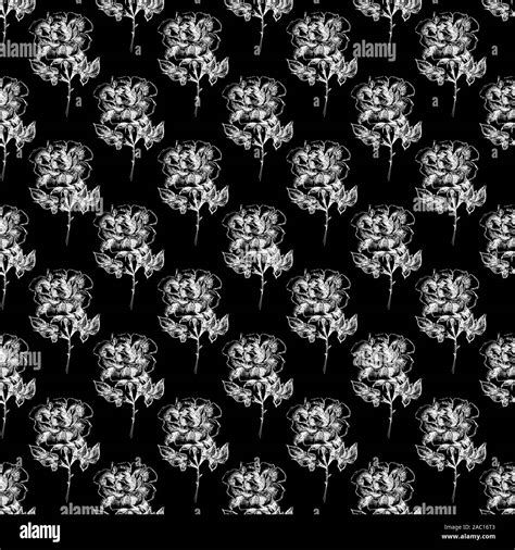 Seamless Hand Drawn Pattern Of Abstract Rose Flowers Isolated On Black