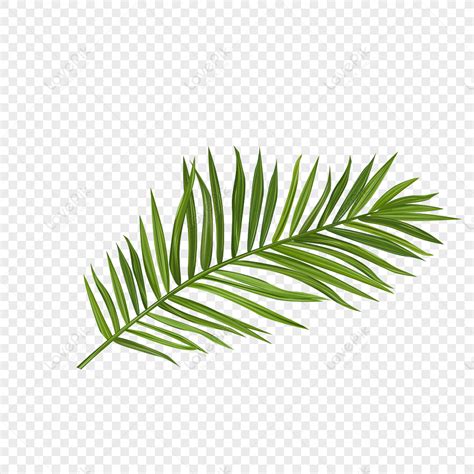 Cartoon Plants Materials Graphic Png Image And Clipart Image For Free