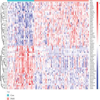 Visualizing The Results Of Differential Genes A Clustering Heat Map