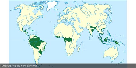 Geografinės Zonos Biomai