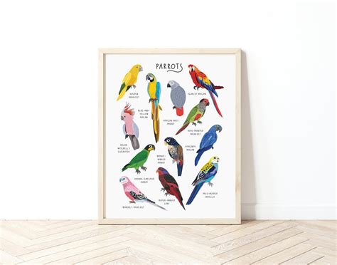 Parrots Poster Tropical Bird Print Parrot Illustration Parrot T