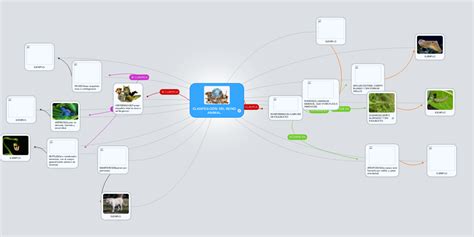 ClasificaciÒn Del Reino Animal Mindmeister Mapa Mental