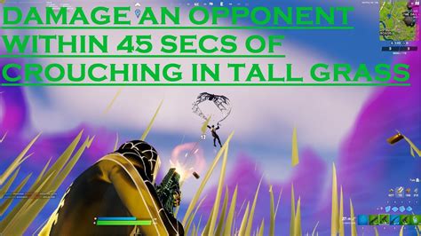 Damage An Opponent Within Seconds Of Crouching In Tall Grass Best