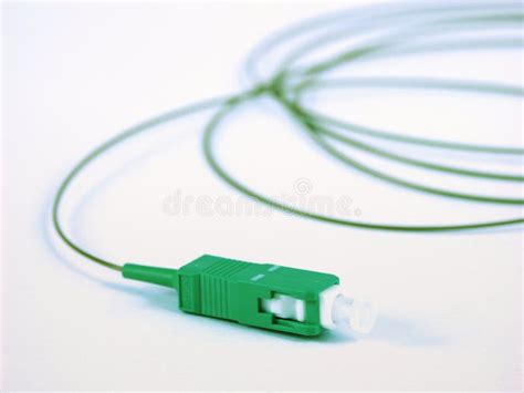 Patch Cord Stock Image Image Of Internet Patch Connectors 12855073