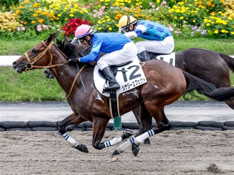 【福島6r新馬戦結果】シナジーエフェクトが差し切って人気に応える ライブドアニュース