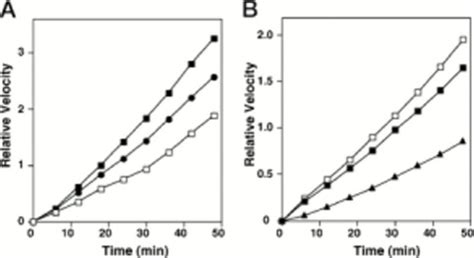 Syndecans Heparan Sulfate Proteoglycans Maintain The Proteolytic