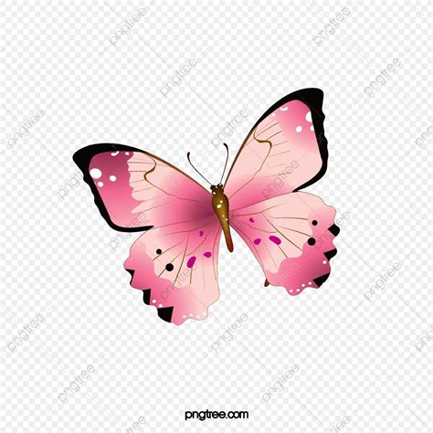 Pink Butterfly with Black Spots