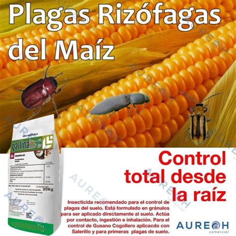 Kg Control De Gallina Ciega Insecticida Gallinatox Pasto Meses Sin