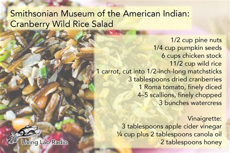 Cranberries Shine in Native American Wild Rice Salad | WCAI