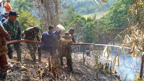 Lahan Perkebunan Di Kelapa Dua Polman Terbakar Tribun Timur