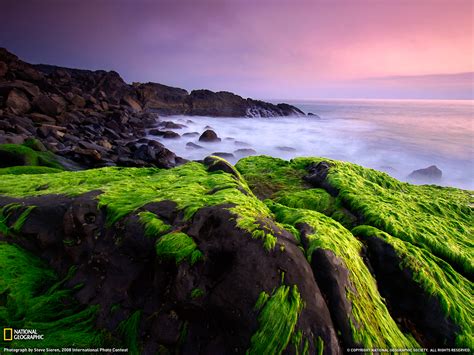 nat geo wallpapers winners wallpapersafari