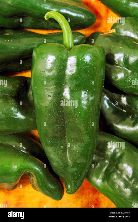 Poblano Chili Peppers Chile Capsicum Annuum Stock Photo Alamy