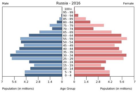 File:Population pyramid of Russia 2016.png - Wikimedia Commons